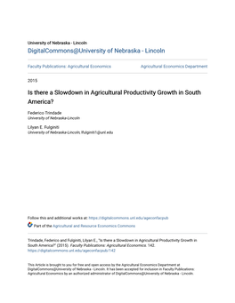 Is There a Slowdown in Agricultural Productivity Growth in South America?