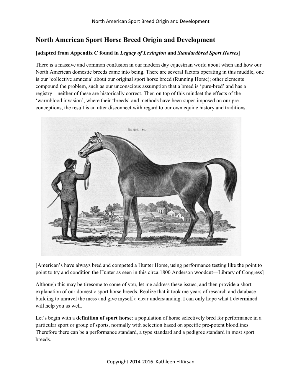 North American Sport Horse Breed Origin and Development