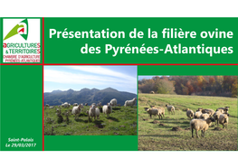 Présentation De La Filière Ovine Des Pyrénées-Atlantiques