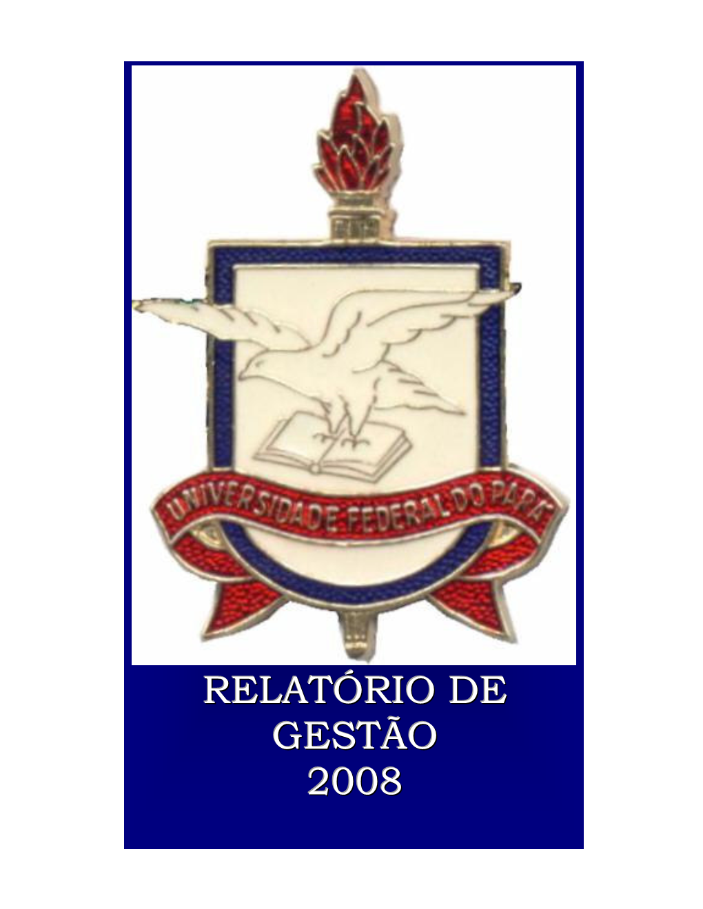 Relatório De Gestão 2008