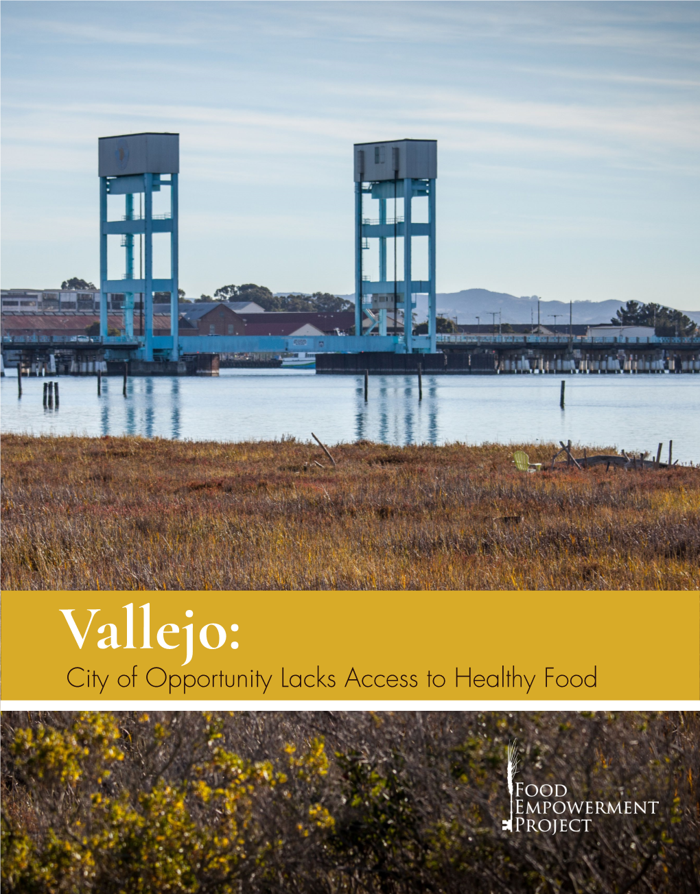 Vallejo: City of Opportunity Lacks Access to Healthy Food Report April 2016 Food Empowerment Project