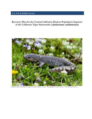 Recovery Plan for the Central California Distinct Population Segment of the California Tiger Salamander (Ambystoma Californiense)