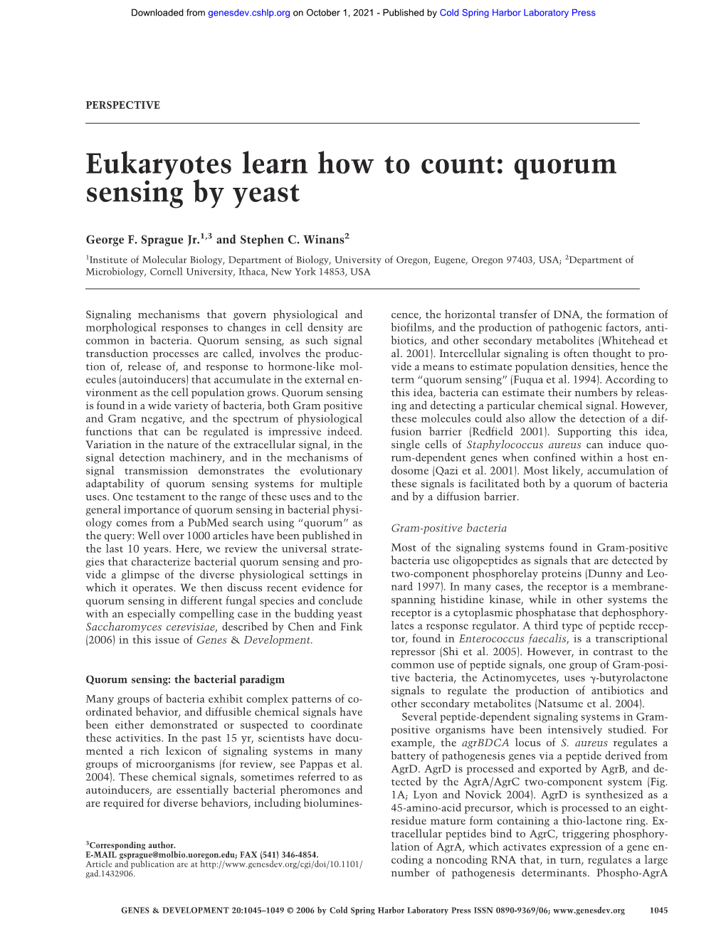Quorum Sensing by Yeast