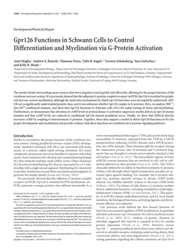 Gpr126 Functions in Schwann Cells to Control Differentiation and Myelination Via G-Protein Activation