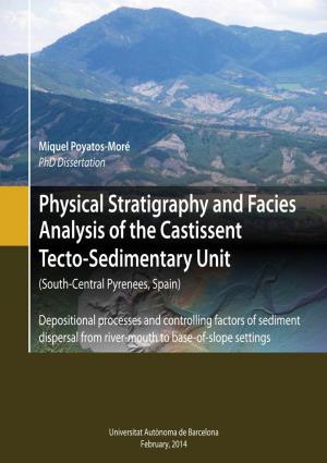 Physical Stratigraphy and Facies Analysis of the Castissent Tecto-Sedimentary Unit (South-Central Pyrenees, Spain)