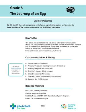 Grade 5 the Journey of an Egg