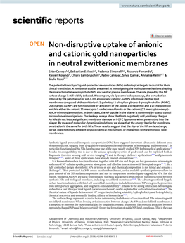 Non-Disruptive Uptake of Anionic and Cationic Gold Nanoparticles