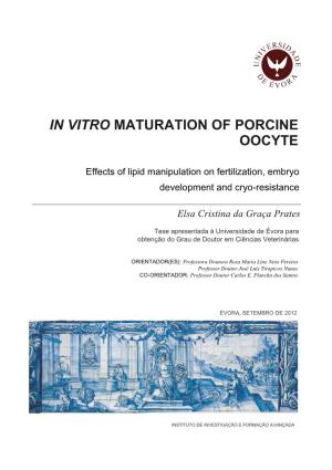 In Vitro Maturation of Porcine Oocyte