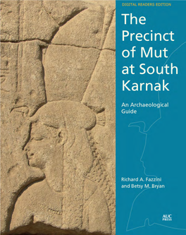 Precinct of Mut at South Karnak