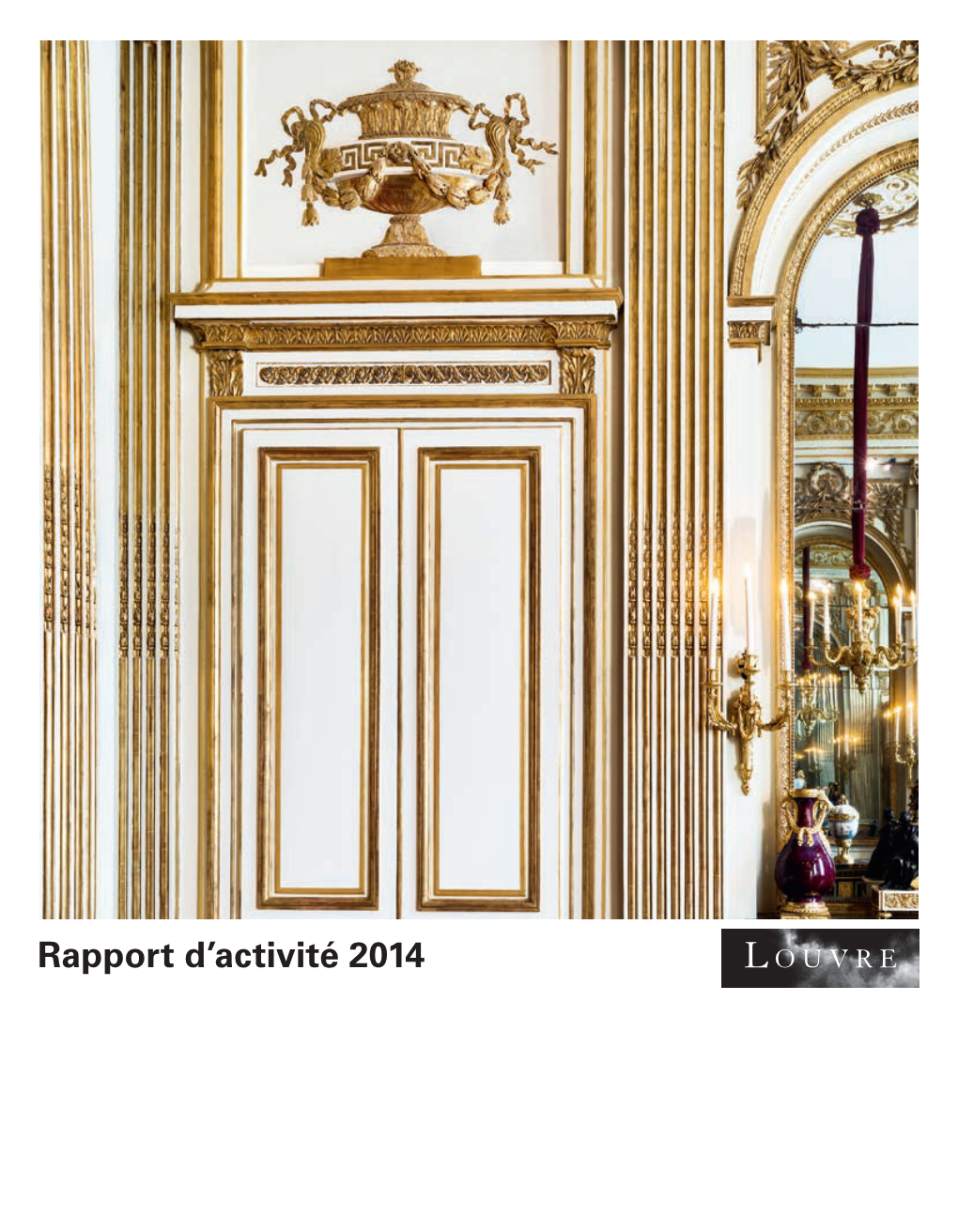 Rapport D'activité 2014