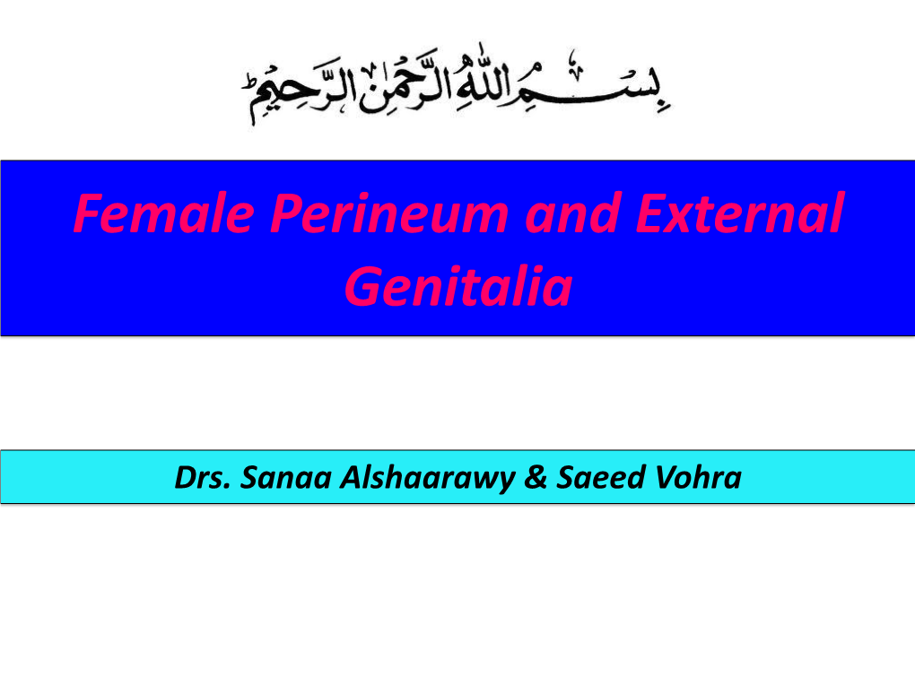 Female Perineum and External Genitalia