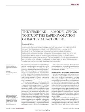 The Yersiniae — a Model Genus to Study the Rapid Evolution of Bacterial Pathogens