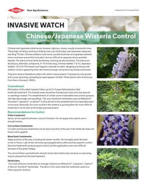 INVASIVE WATCH: Autumnchinese/Japanese and Russian Wisteria Olive Control