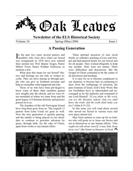 2006.05-Oak Leaves