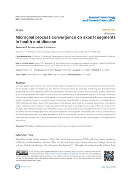 Microglial Process Convergence on Axonal Segments in Health and Disease