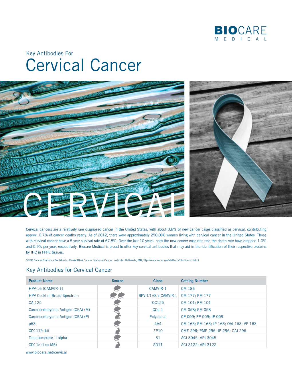 Cervical Cancer