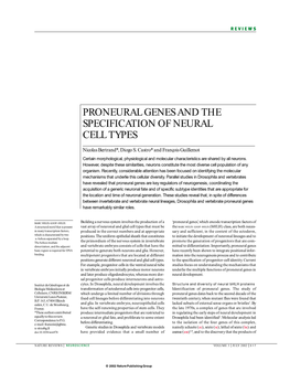 Proneural Genes and the Specification of Neural Cell Types