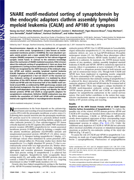 SNARE Motif-Mediated Sorting of Synaptobrevin by the Endocytic Adaptors Clathrin Assembly Lymphoid Myeloid Leukemia (CALM) and AP180 at Synapses