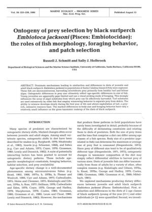 Eny of Prey Selection by Black Surfperch Embiotoca Jacksoni (Pisces: Embiotocidae): the Roles of Fish Morphology, Foraging Behavior, and Patch Selection