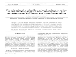 Monogenea), Gill Parasites from European Eel Anguilla Anguilla