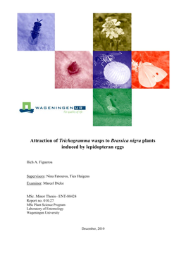 Attraction of Trichogramma Wasps to Brassica Nigra Plants Induced by Lepidopteran Eggs