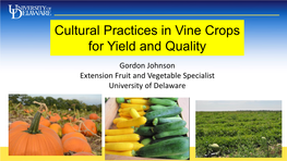 Cultural Practices for Vine Crops