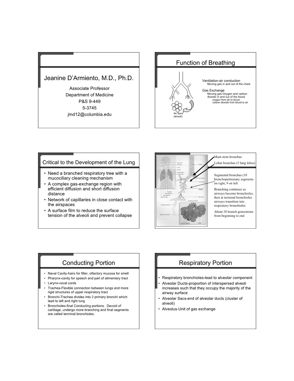 Jeanine D'armiento, M.D., Ph.D. Function of Breathing Conducting