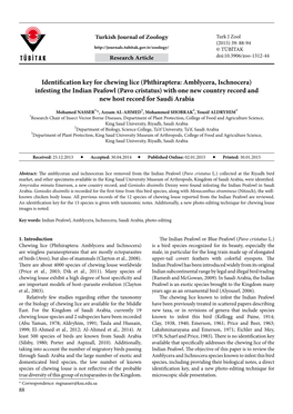 Identification Key for Chewing Lice (Phthiraptera: Amblycera, Ischnocera)