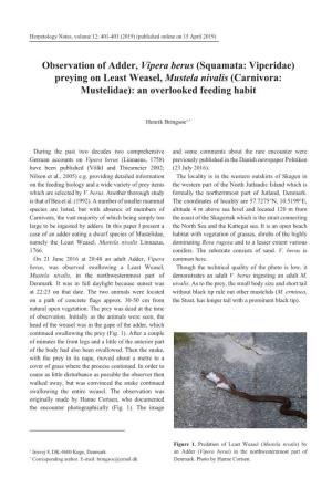 Observation of Adder, Vipera Berus (Squamata: Viperidae) Preying on Least Weasel, Mustela Nivalis (Carnivora: Mustelidae): an Overlooked Feeding Habit