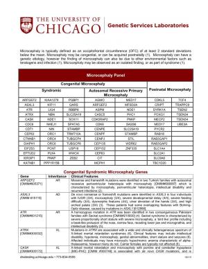 Microcephaly Information Sheet 6-13-19