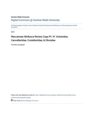Waccamaw Mollusca Review Copy Pt. IV: Volutoidea, Cancellariidae, Costellariidae, & Olivoidea