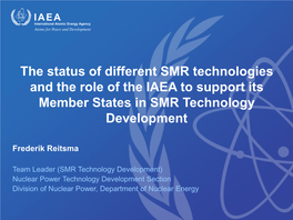 The Status of Different SMR Technologies and the Role of the IAEA to Support Its Member States in SMR Technology Development
