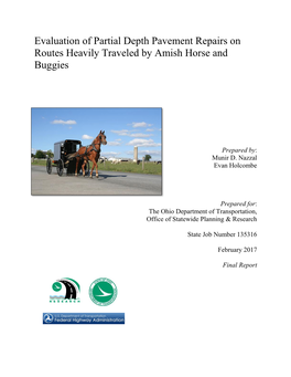 Evaluation of Partial Depth Pavement Repairs on Routes Heavily Traveled by Amish Horse and Buggies