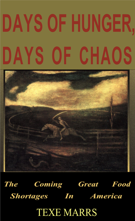 Days of Hunger, Days of Chaos (1999)