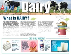 What Is DAIRY? COW’S HEALTHY DIET Dairy Cows Are Fascinating Animals