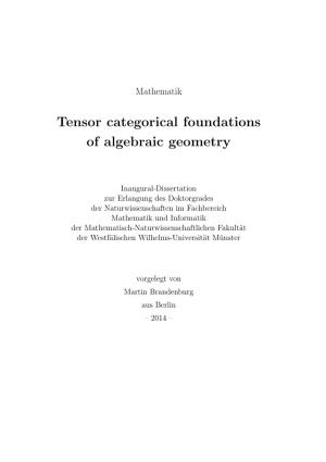 Tensor Categorical Foundations of Algebraic Geometry