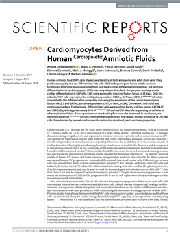 Cardiomyocytes Derived from Human Cardiopoieticamniotic Fluids