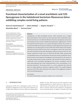 Functional Characterization of a Novel Arachidonic Acid 12S‐Lipoxygenase in the Halotolerant Bacterium Myxococcus Fulvus Exhib