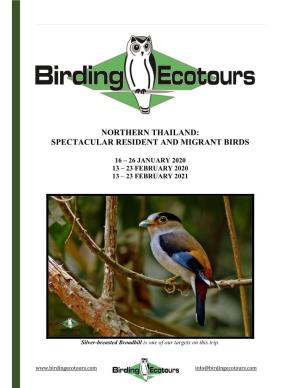 Northern Thailand: Spectacular Resident and Migrant Birds