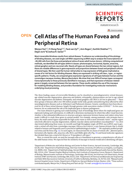 Cell Atlas of the Human Fovea and Peripheral Retina Wenjun Yan1,7, Yi-Rong Peng1,2,7, Tavé Van Zyl3,7, Aviv Regev4, Karthik Shekhar1,4,5, Dejan Juric6 & Joshua R