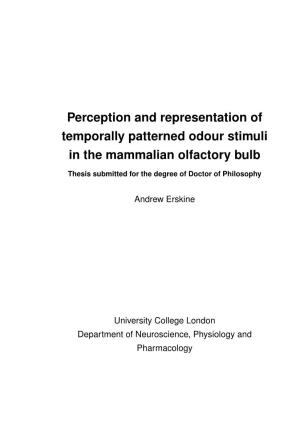 Perception and Representation of Temporally Patterned Odour Stimuli in the Mammalian Olfactory Bulb