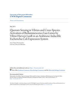 Quorum Sensing in Vibrios and Cross-Species Activation Of