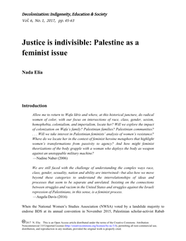 Palestine As a Feminist Issue