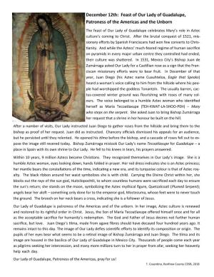 Our Lady of Guadalupe, Patroness of the Americas and the Unborn