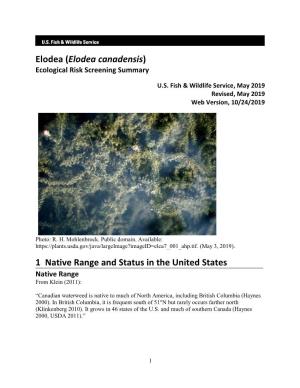 Elodea Canadensis) Ecological Risk Screening Summary