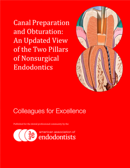 Canal Preparation and Obturation: an Updated View of the Two Pillars of Nonsurgical Endodontics