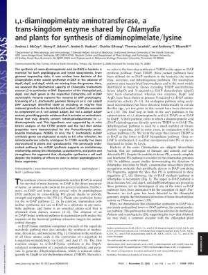 L,L-Diaminopimelate Aminotransferase, a Trans-Kingdom Enzyme Shared by Chlamydia and Plants for Synthesis of Diaminopimelate͞lysine