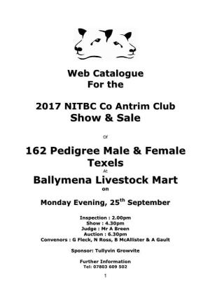Show & Sale 162 Pedigree Male & Female Texels Ballymena Livestock Mart