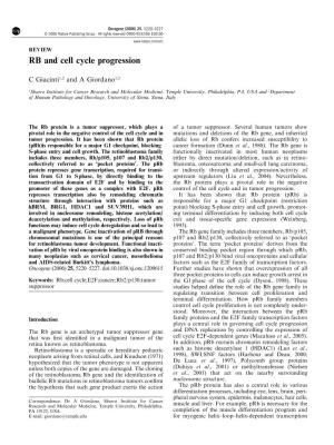 RB and Cell Cycle Progression
