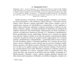 Descripción (Pdf)